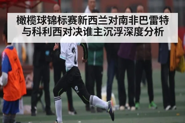 橄榄球锦标赛新西兰对南非巴雷特与科利西对决谁主沉浮深度分析 - kaiyun